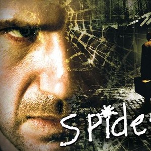 Spider photo 1