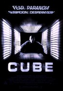 Cube poster image