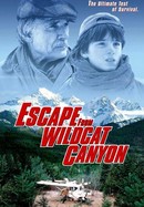 Escape From Wildcat Canyon poster image