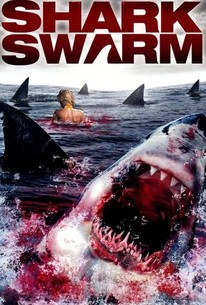 Watch trailer for Shark Swarm