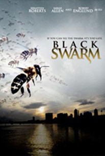 Black Swarm