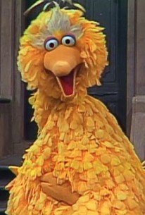 Sesame Street: Season 10, Episode 1 - Rotten Tomatoes