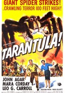 Tarantula poster image