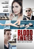 Blood in the Water poster image