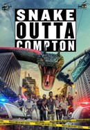 Snake Outta Compton poster image