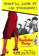 The Bachelor Party poster image