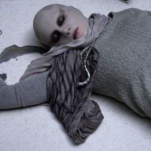 Hannah Cheesman - Rotten Tomatoes