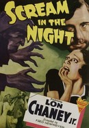 Scream in the Night poster image