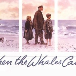 When the Whales Came photo 8