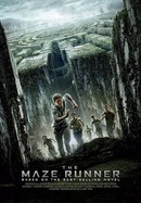 The Maze Runner poster image