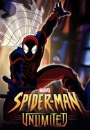 Spider-Man Unlimited poster image