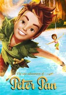 The New Adventures of Peter Pan poster image