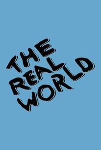 The Real World: Season 7 poster image