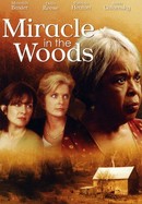 Miracle in the Woods poster image