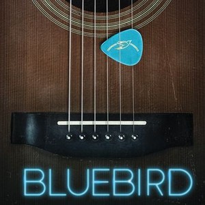 Bluebird - Rotten Tomatoes