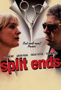 Poster for Split Ends