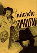 Miracle in Harlem poster image