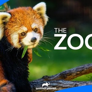 The Zoo Rotten Tomatoes