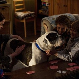 The Killing, Jamie Anne Allman (L), Seth Isaac Johnson (R), '72 Hours', Season 2, Ep. #10, 05/27/2012, ©AMC