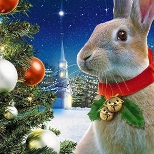 The Christmas Bunny - Rotten Tomatoes