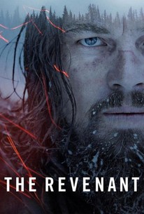 Watch trailer for The Revenant