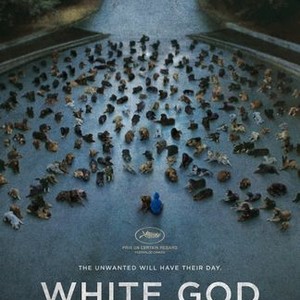 White God photo 6