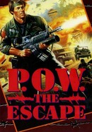 P.O.W. The Escape poster image