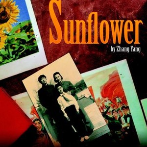 Sunflower photo 1