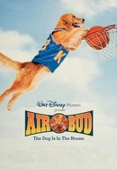 Air Bud poster image