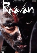 Raavan poster image