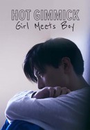 Hot Gimmick: Girl Meets Boy poster image