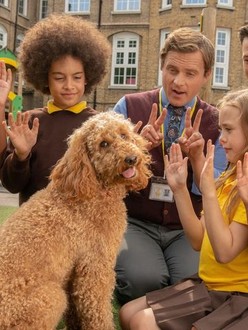 Waffle the Wonder Dog Season 1 Rotten Tomatoes