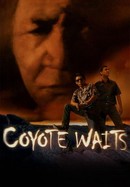 Coyote Waits poster image