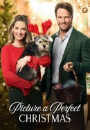 Picture a Perfect Christmas poster image