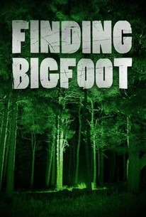 Aubergine zand Klassiek Finding Bigfoot - Rotten Tomatoes