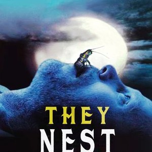 They Nest photo 6