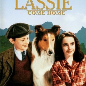 Lassie Come Home photo 7