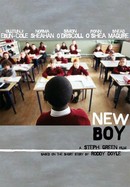 New Boy poster image