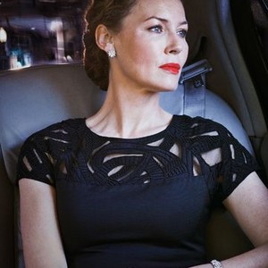 Connie Nielsen as Meredith Kane
