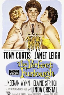 The Perfect Furlough poster
