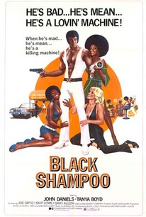 Poster for Black Shampoo