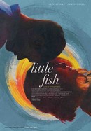 Little Fish poster image
