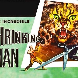 The Incredible Shrinking Man photo 1