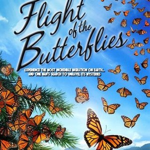 Flight of the Butterflies - Rotten Tomatoes