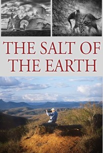 The Salt of the Earth | Rotten Tomatoes