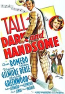 Tall, Dark and Handsome poster image