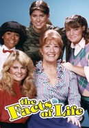 The Facts of Life poster image
