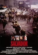 Salvador poster image