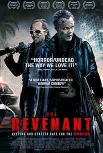 Poster for The Revenant