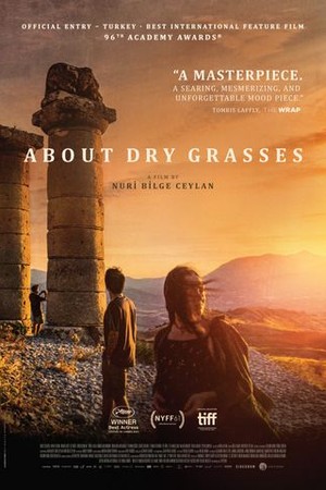 About Dry Grasses poster